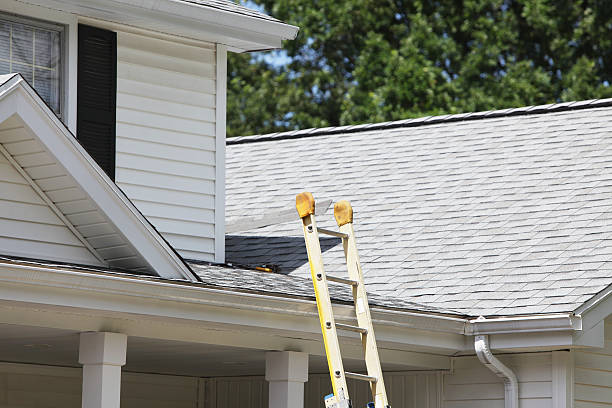 Best Wood Siding Installation  in Lyndon, KS